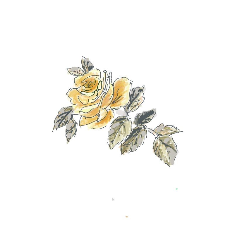 黄色薔薇 メモ 2020-02-16 (2)_page-0001.jpg