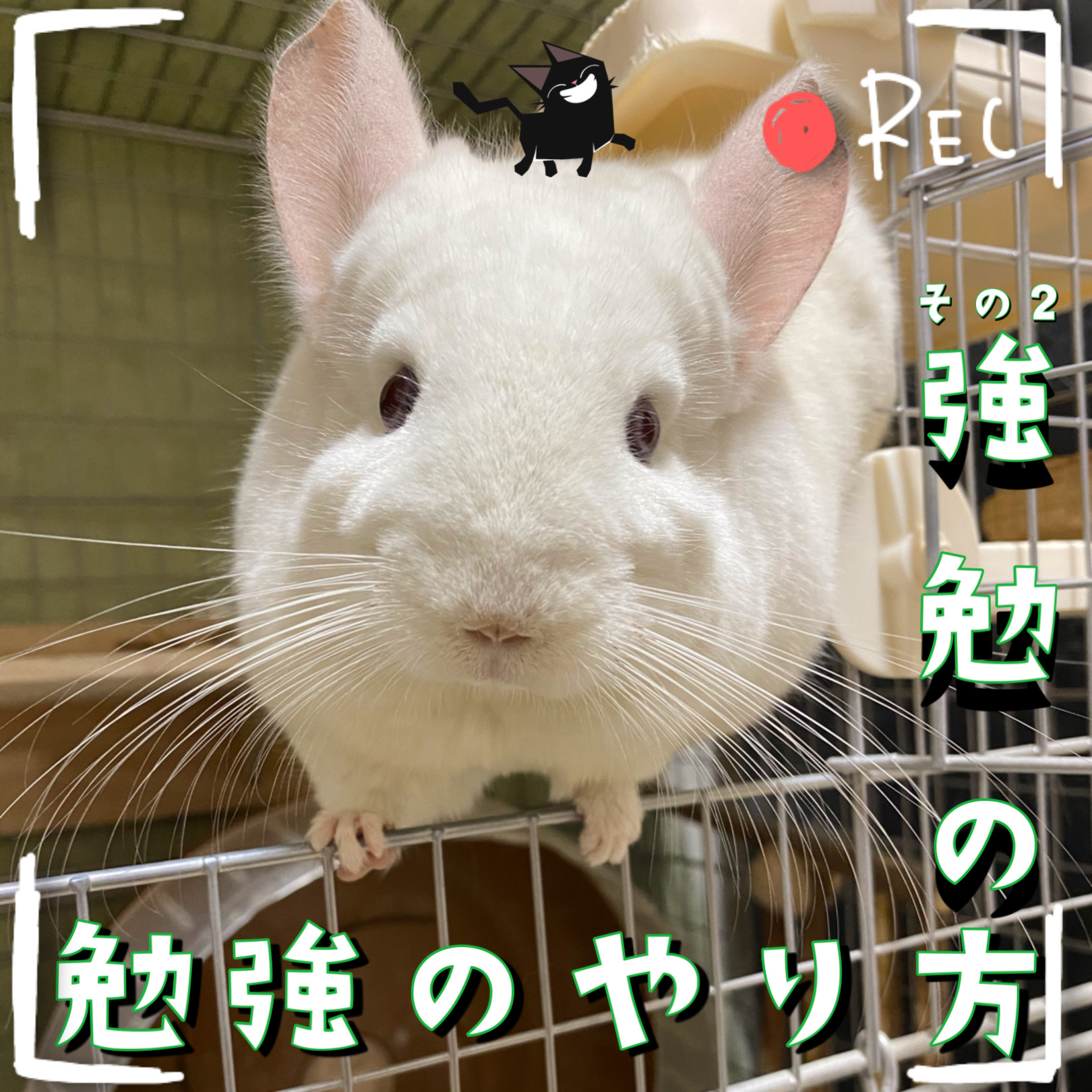 373E856B-DDD4-4F3A-8A35-5BB7682DE07A.JPEG