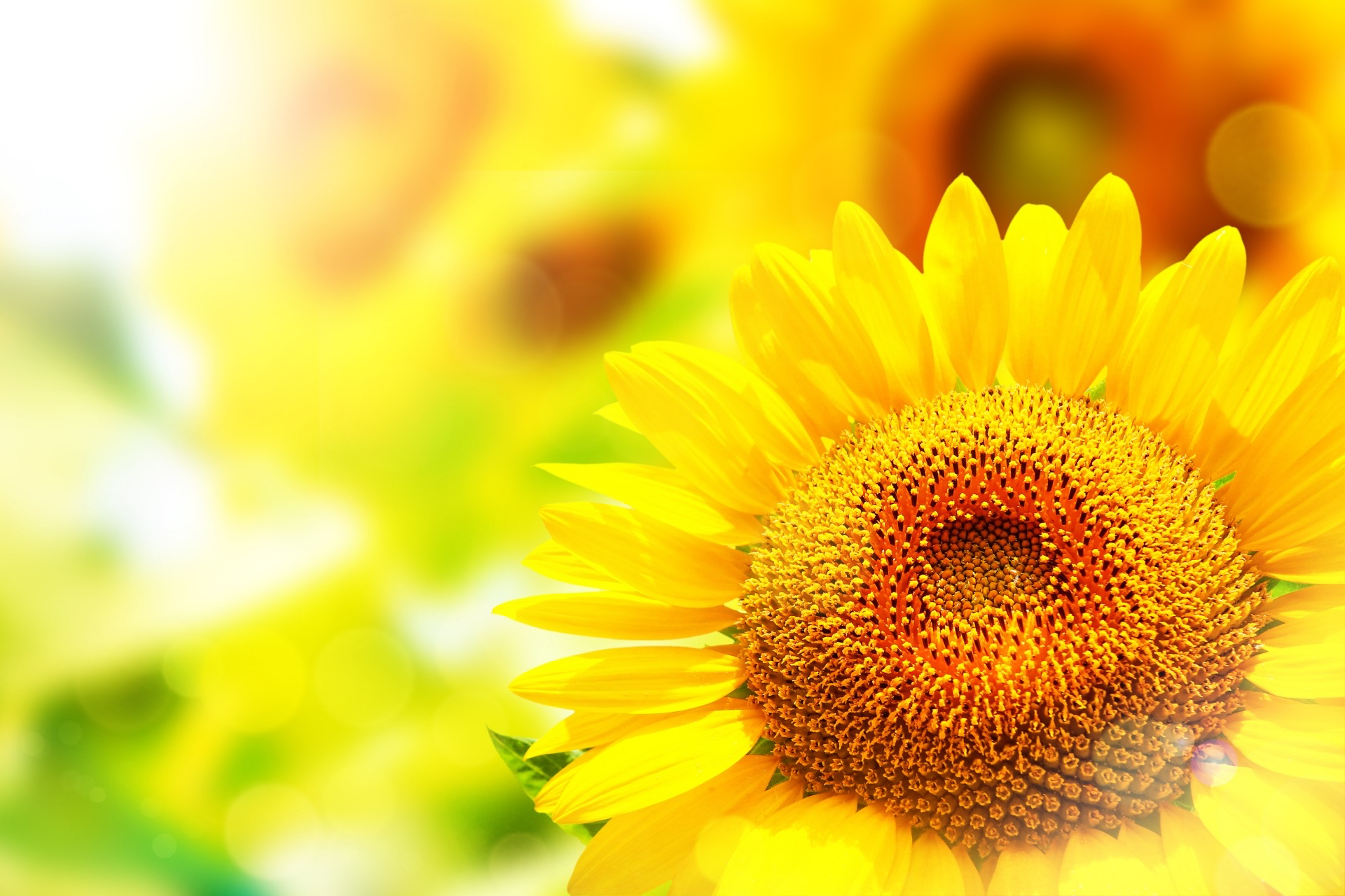 F037DD5B-3B07-4173-AC9A-9117CA7D409C.jpeg
