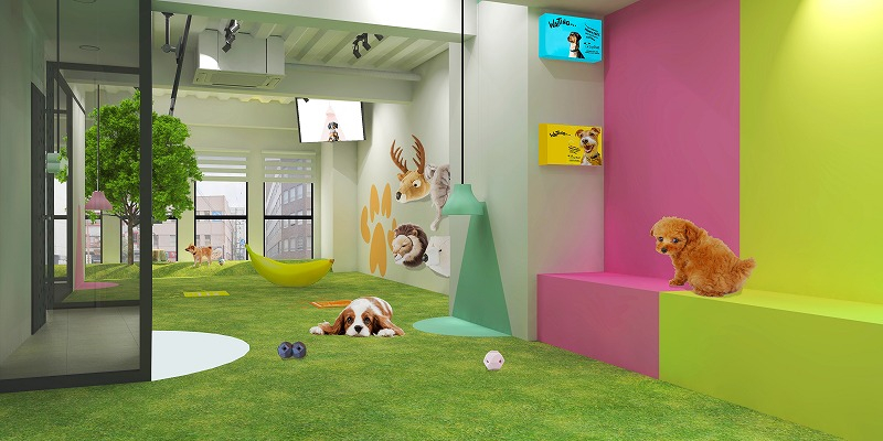 写真 2020-02-14 10 36 35.jpg