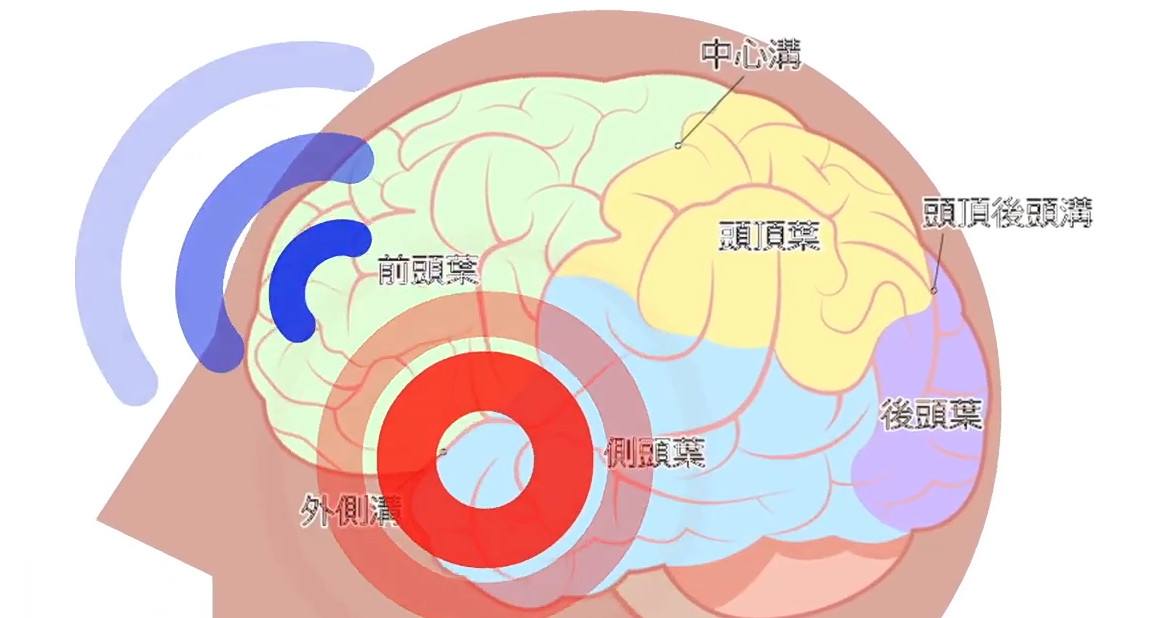 怒り_大脳_200429.jpg