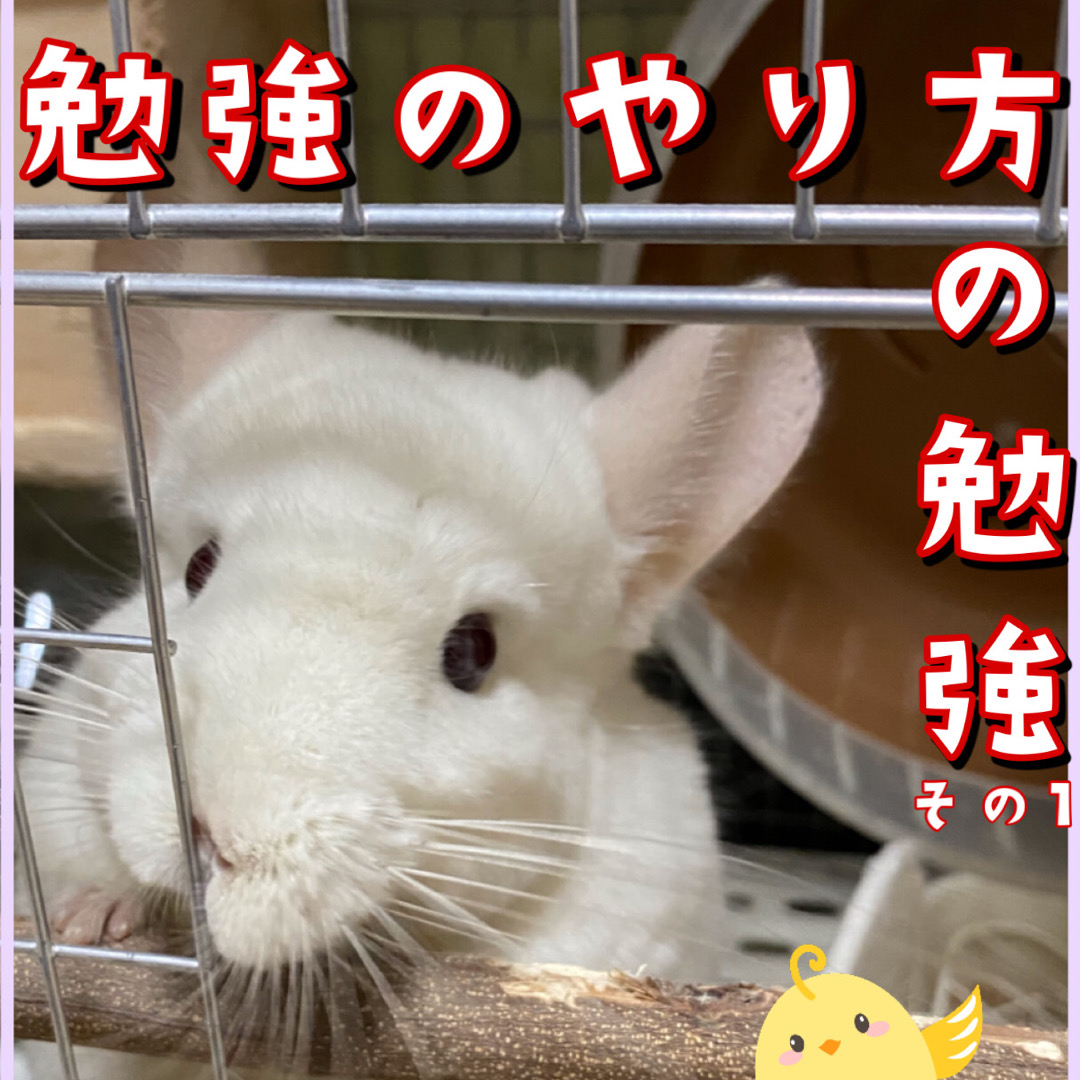 EEBD98E1-6798-43F6-A9AC-C1F72C1E4065.JPG