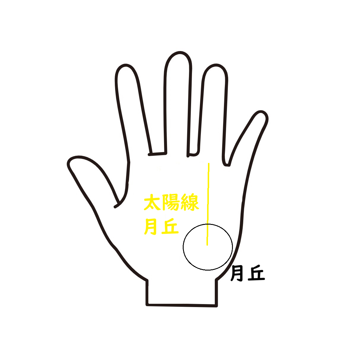 【太陽線】幸せになるための道標|手相占い師 神託涼太|coconalaブログ