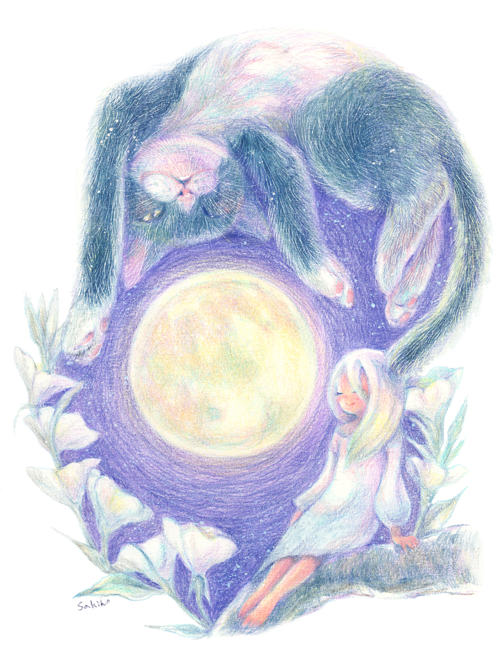 猫のイラスト ハチワレ編｜さきほ❀色鉛筆画家｜coconalaブログ