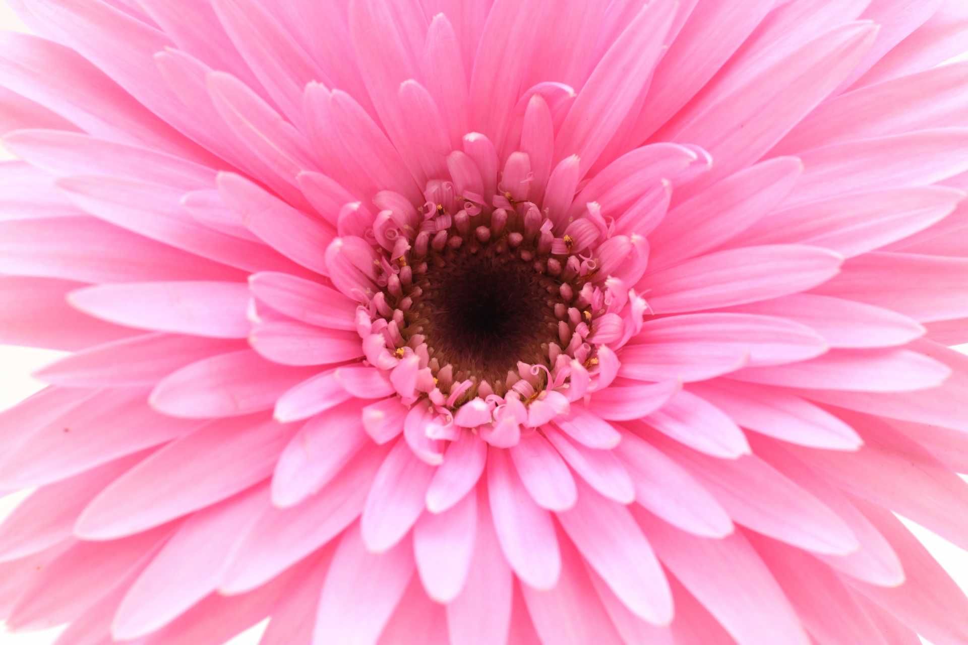 9F0FEBE8-F842-4A20-9659-A8A4BAD91F02.jpeg