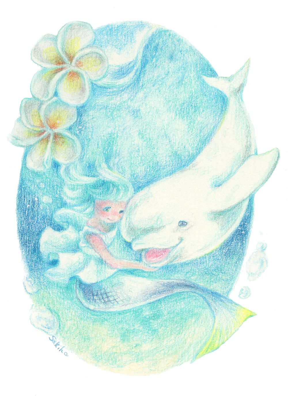 人魚とスナメリのイラスト制作過程｜さきほ❀色鉛筆画家｜coconalaブログ