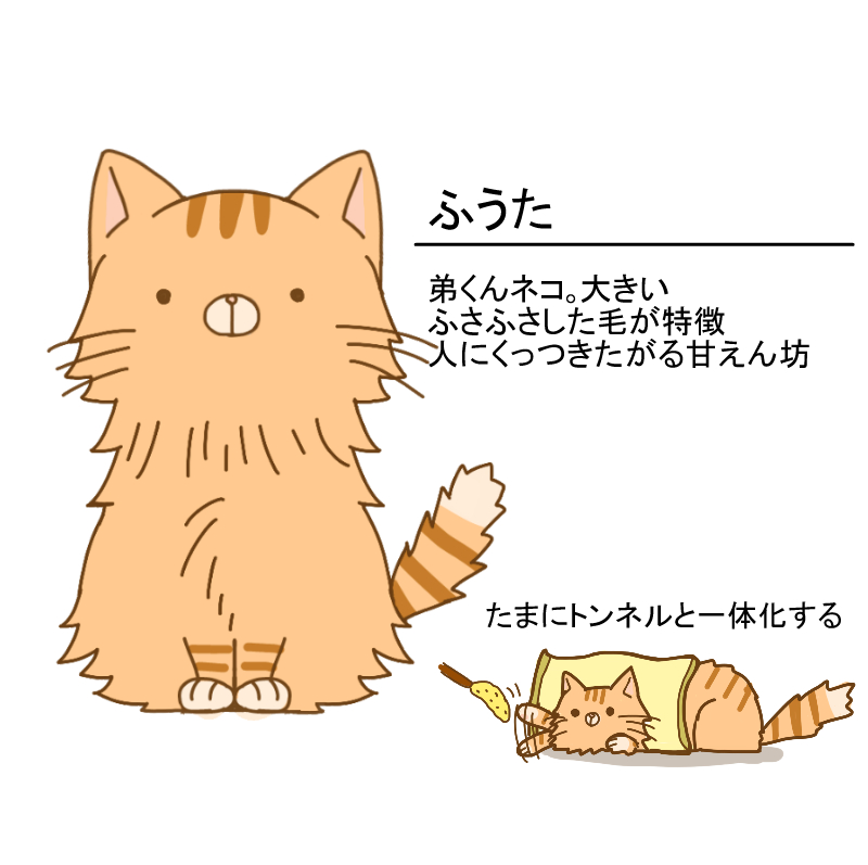 ふうた.png
