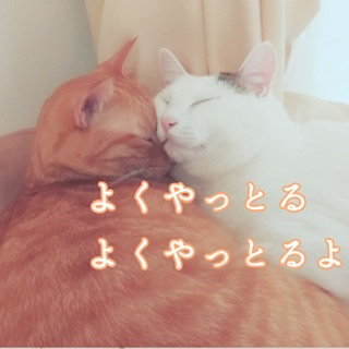 B03F4F5F-BB6D-47D1-9167-997F3653ADBE.jpeg