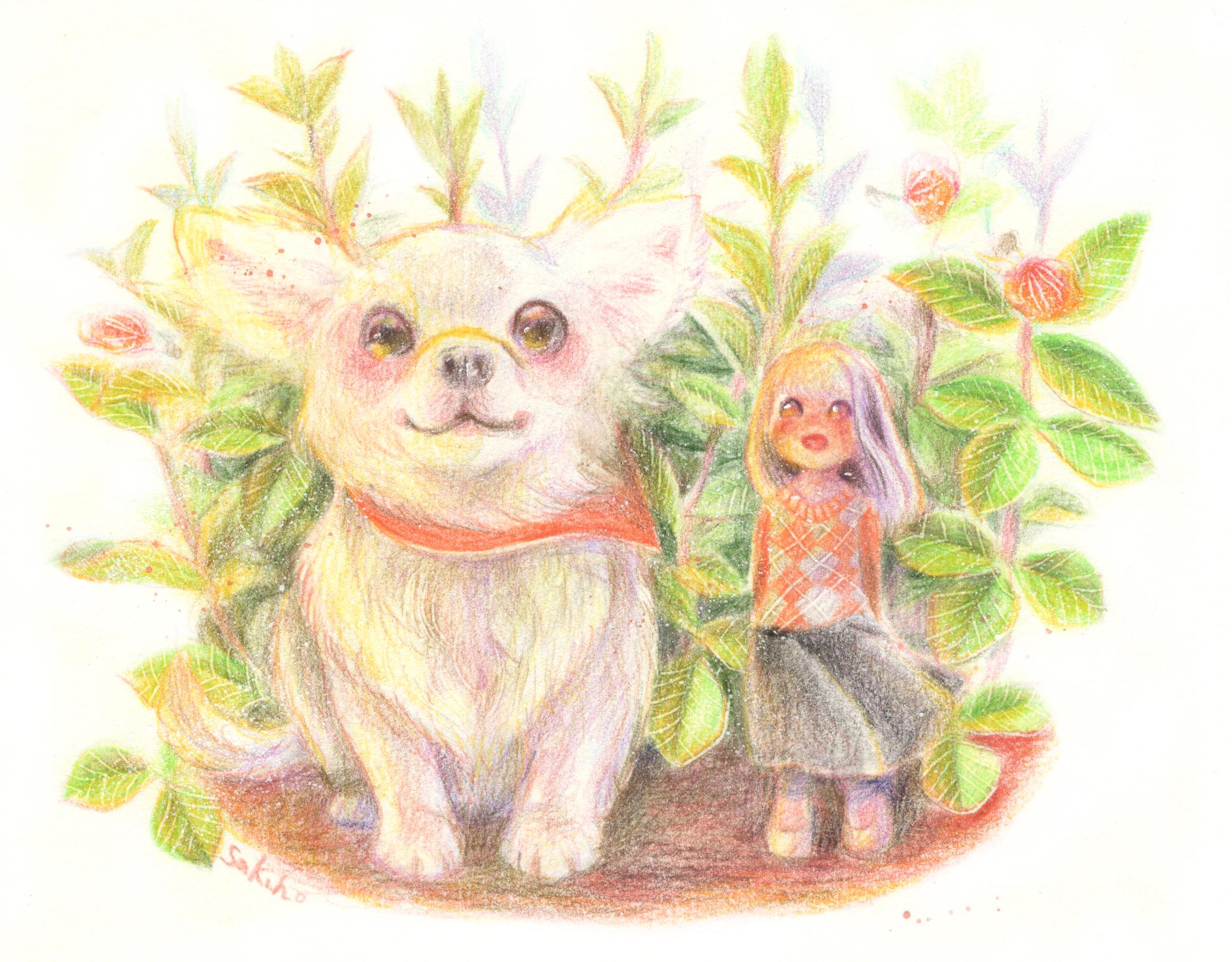 ワンちゃん！ 小型犬編｜さきほ❀色鉛筆画家｜coconalaブログ