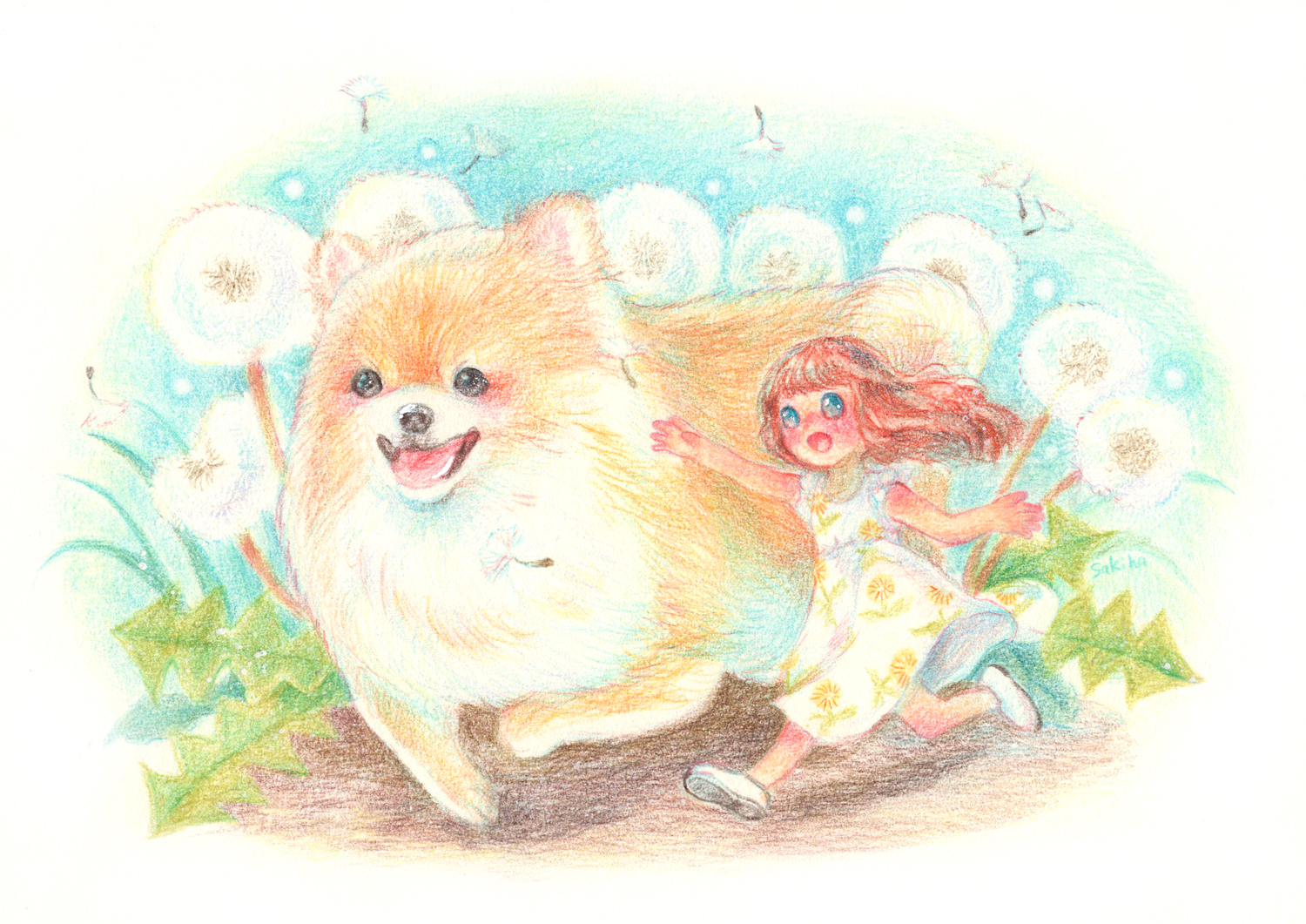 ワンちゃん！ 小型犬編｜さきほ❀色鉛筆画家｜coconalaブログ