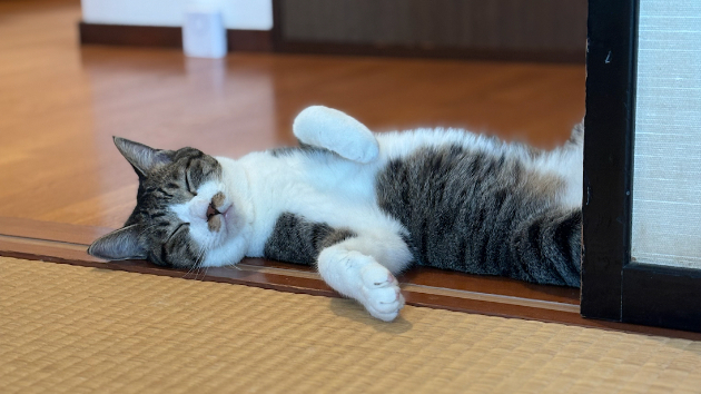 「したくない」時は、しなくていい