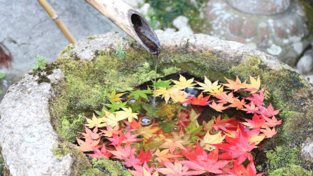 Blog初投稿☆