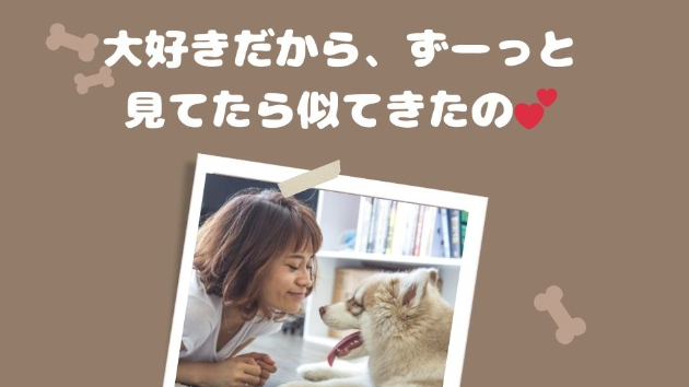 好きだから、飼い主さんにフルコミットするペットさん