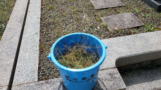お墓の草引き