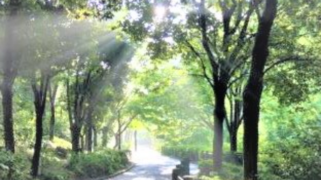 真実の言葉 930【神との友情】