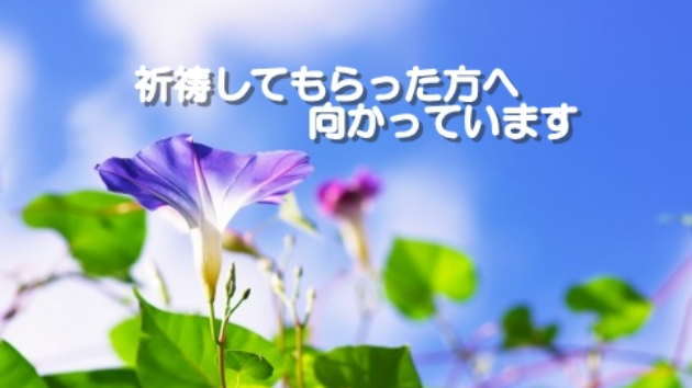 ●【お客様の声】祈祷してもらった方へ向かっています