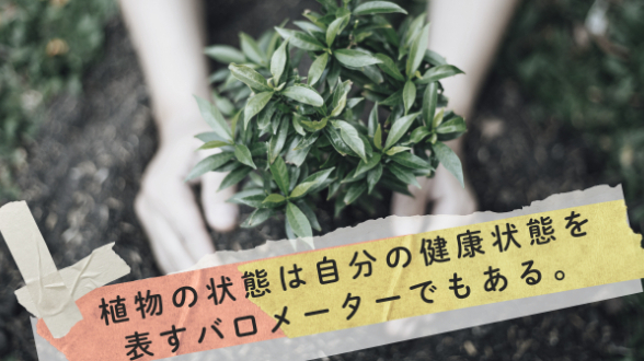 カバー画像