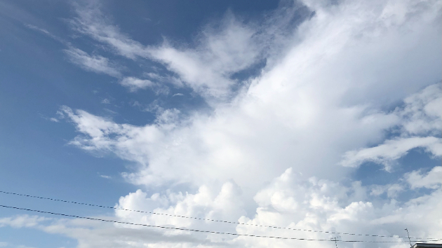 ☆笑顔セラピー☆令和６年８月２５日（日）仏滅☆