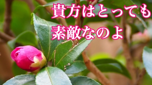 貴方の魅力を全開に