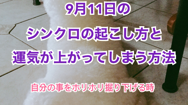 ９月１１日のシンクロの起こし方と運気が上がってしまう方法☆彡