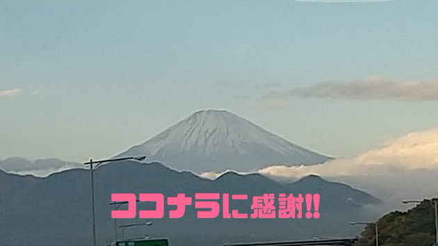 ココナラに感謝！（写真は去年の11月、車から撮影）