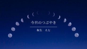 仕事のことで占う時、どんな占いを選ぶ？
