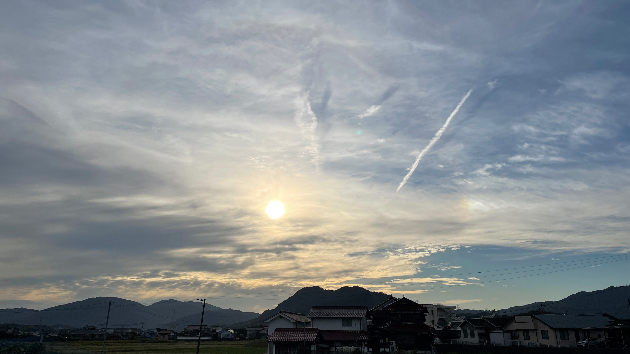 生きづらかった私の人生と遠隔気功