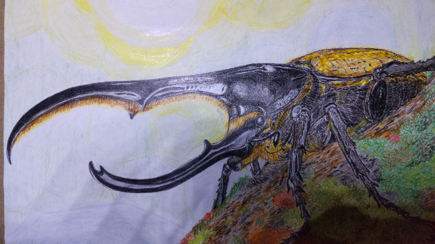 ヘラクレスオオカブトのイラストを制作