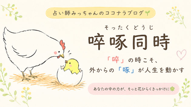カバー画像