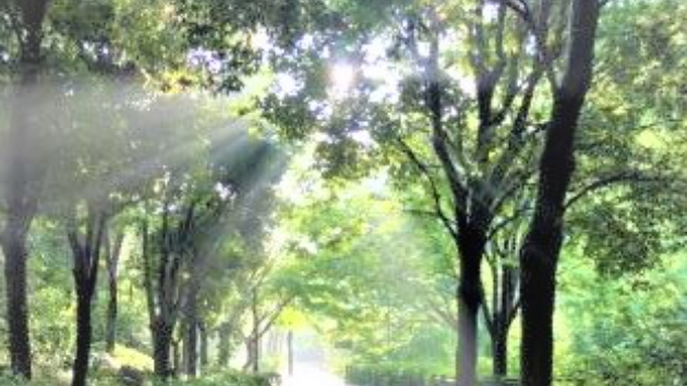 神との対話④ 第一章 『人類という種を目覚めさせること』