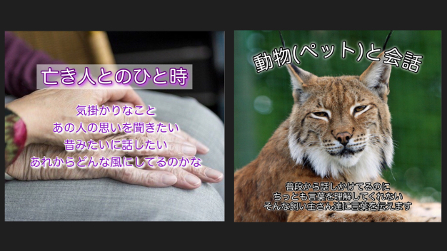カバー画像
