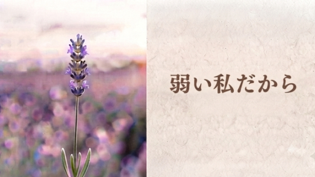 『弱い私だから』