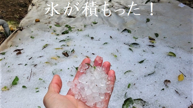 カバー画像