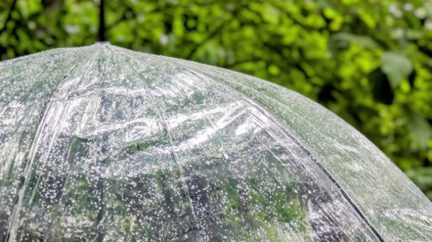 Geminiコラム②　雨の日を愉しむ