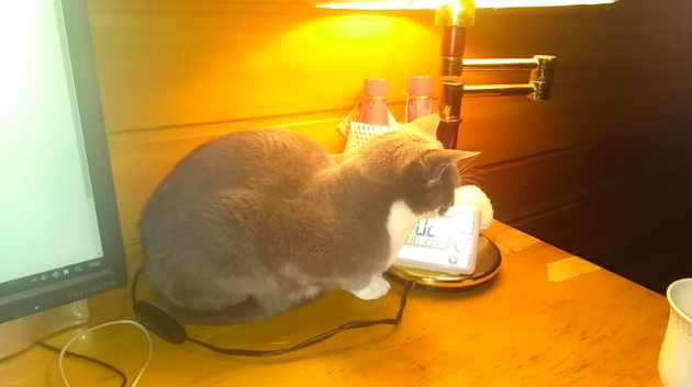 カバー画像