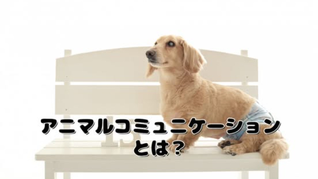 カバー画像