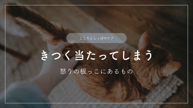カバー画像