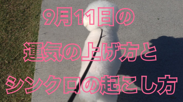 ９月１１日の運気の上げ方とシンクロの起こし方☆彡