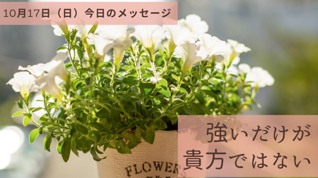 弱くてもいいよ