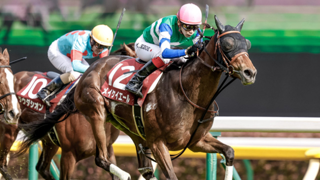 [重賞展望]京王杯スプリングＣの傾向と平日推奨馬