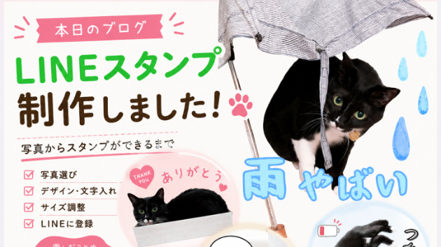 カバー画像