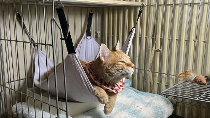 努力してるのに報われないと感じるのはなぜ？