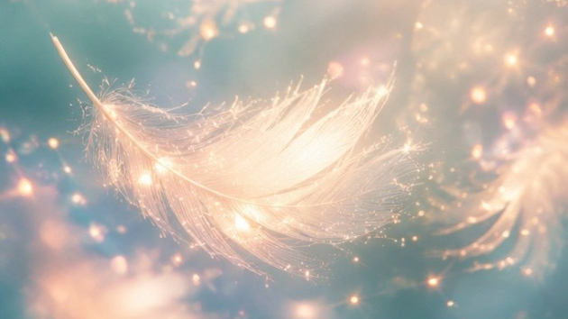 大天使は、思っているよりずっと身近な存在です