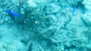 海面は・・波乱の日常・・動きのない海底は平凡な日常・・・それらは・・全く・・違う世界のようで・・どこかでつながり・・循環している・・