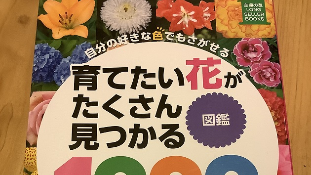 カバー画像