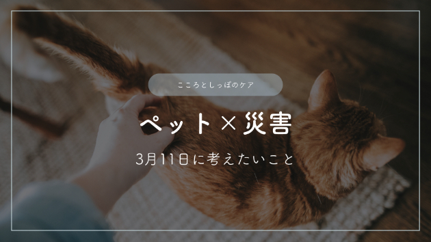 ペットのためにできる災害への備え―3月11日に考えたいこと
