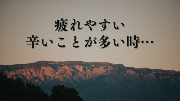 カバー画像