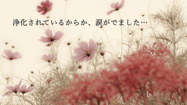 ●【お客様の声】涙が出てきました。