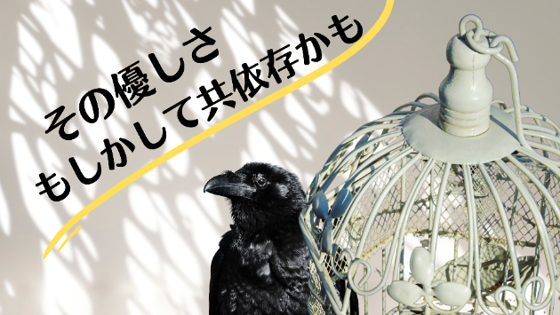 カバー画像