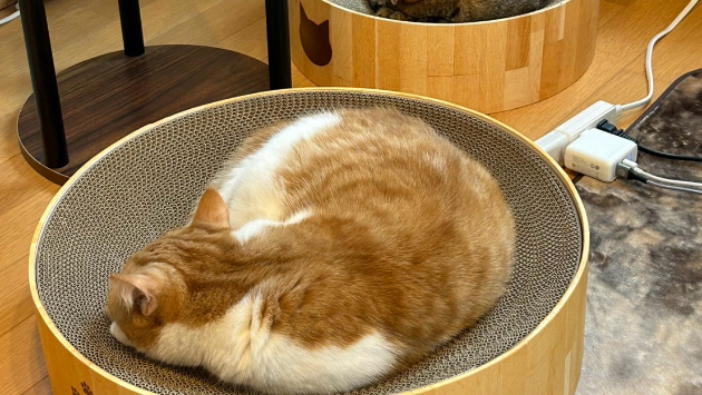 カバー画像